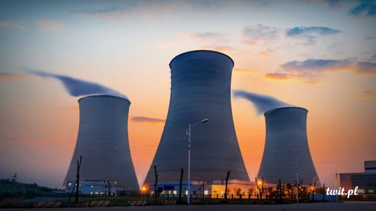 © Zdjęcia: zdjęcie ilustracyjne - ShutterStock