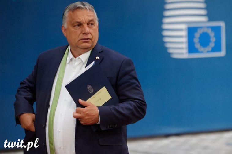 Fot. Olivier Matthys - AP Photo