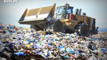 © Zdjęcia: regenmonterey.org