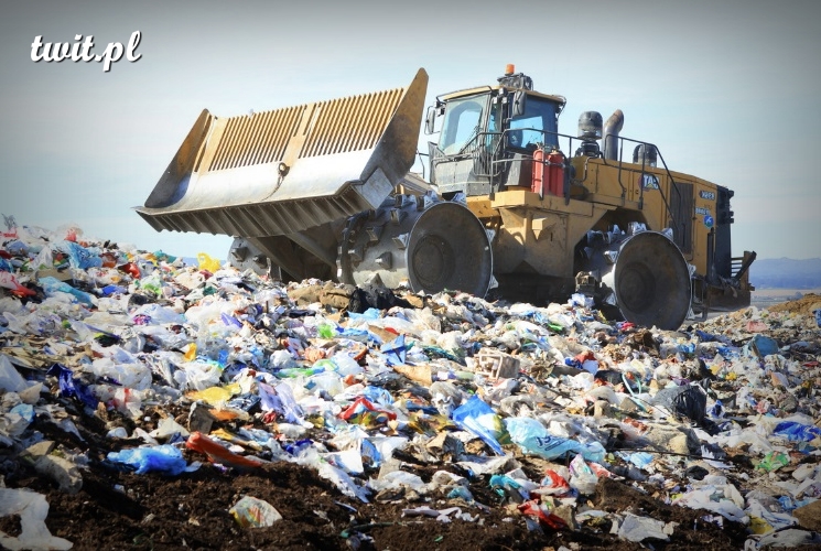 © Zdjęcia: regenmonterey.org